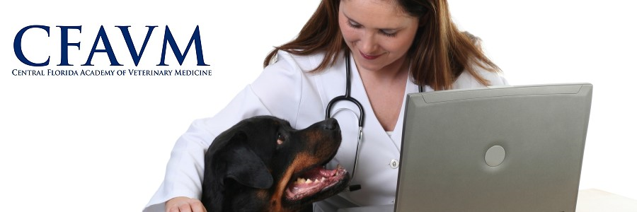 Central Academy of Veterinary Medicine | Vet Continuing Education